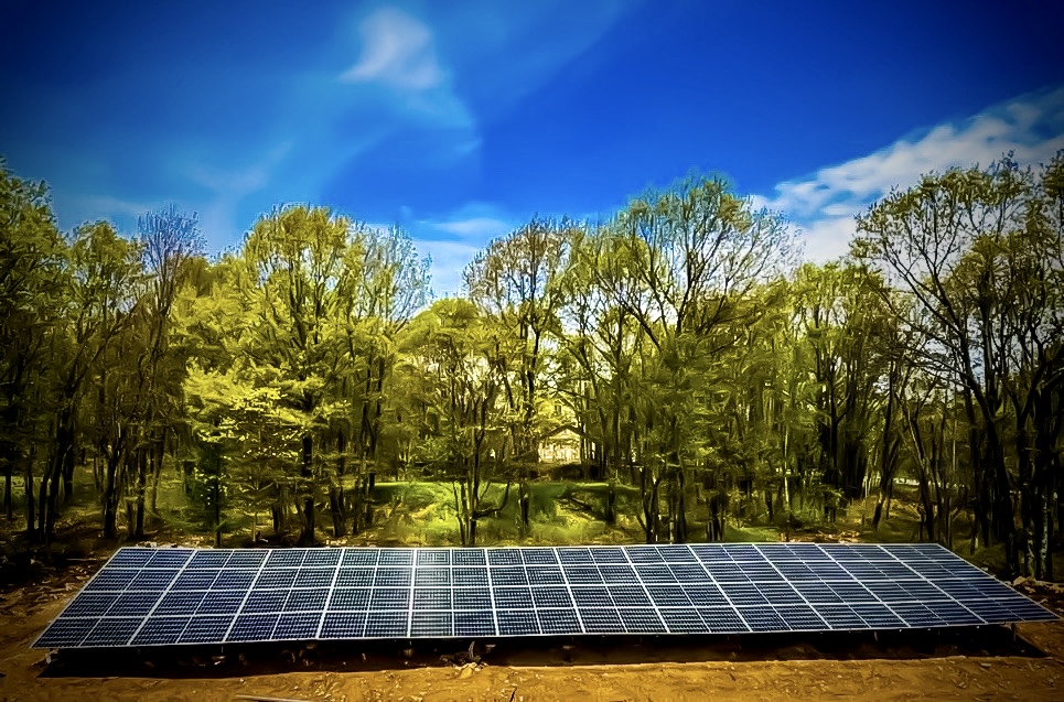 Ground-mounted solar array in a cleared opening surrounded by mature hardwood trees on a Tri-State property